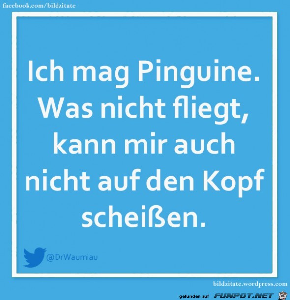 Ich mag Pinguine