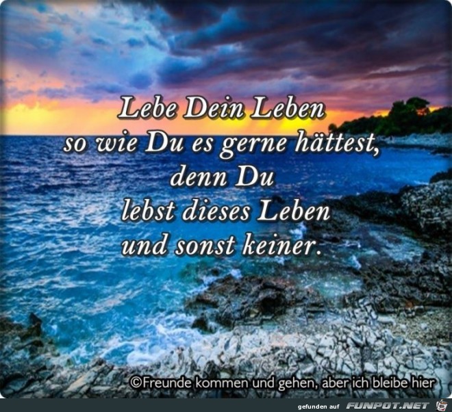 Lebe dein Leben Lebe dein Leben