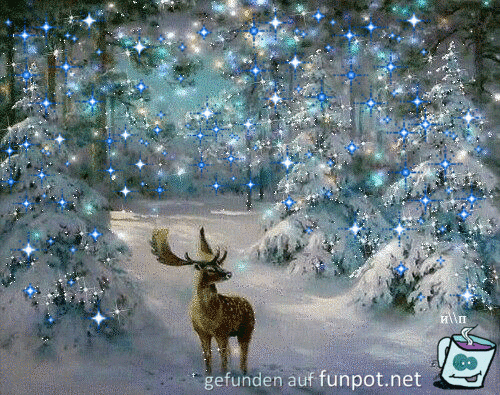 Auch fuer Tiere gibt es Weihnachten Auch fuer Tiere gibt es Weihnachten