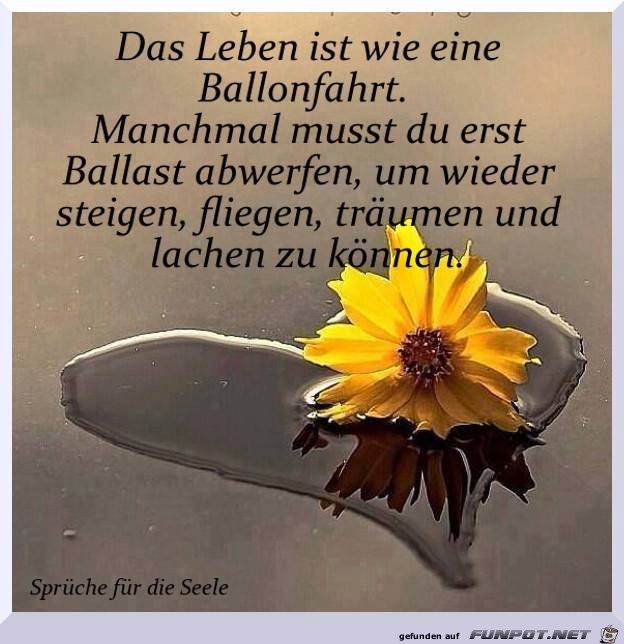 Das Leben ist wie eine Ballonfahrt Das Leben ist wie eine Ballonfahrt