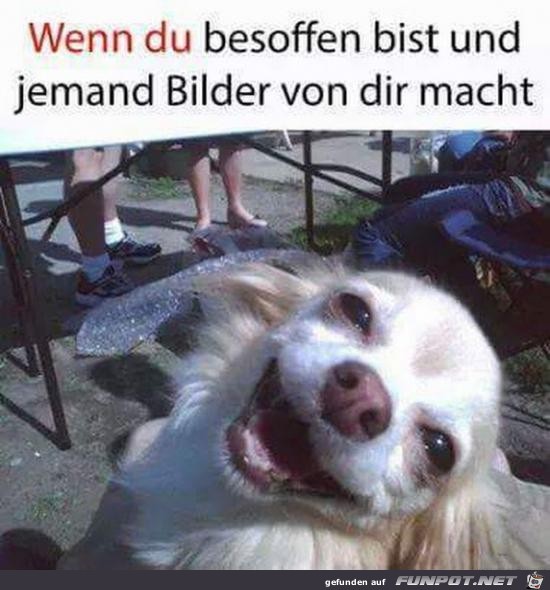Besoffen Besoffen