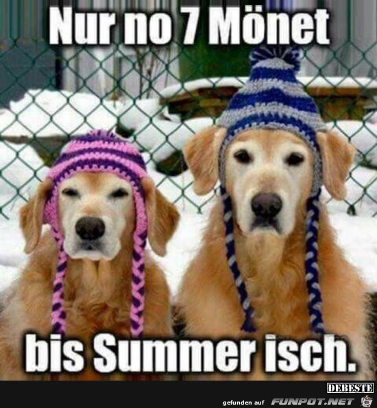 nur no 7 Mönet..... nur no 7 Mönet.....