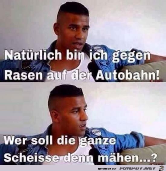 natürlich bin ich gegen Rasen...... natürlich bin ich gegen Rasen......