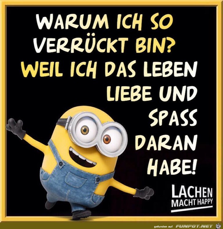 Warum ich so verrueckt bin Warum ich so verrueckt bin