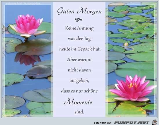 Guten Morgen Guten Morgen