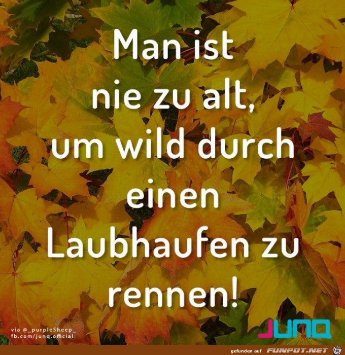 Man ist nie zu alt Man ist nie zu alt