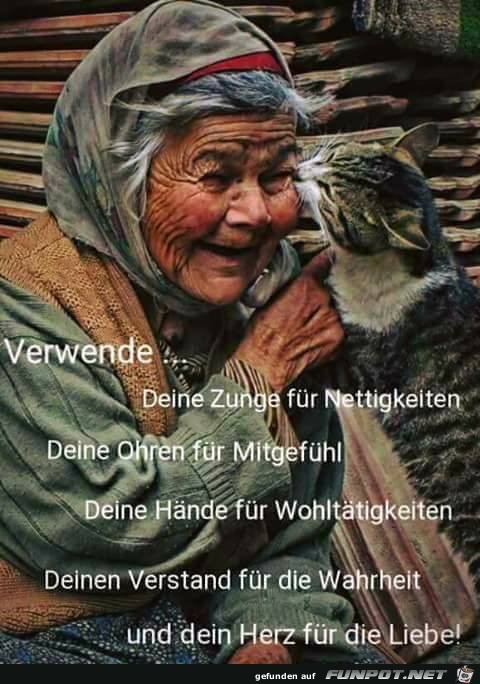 Verwende Verwende