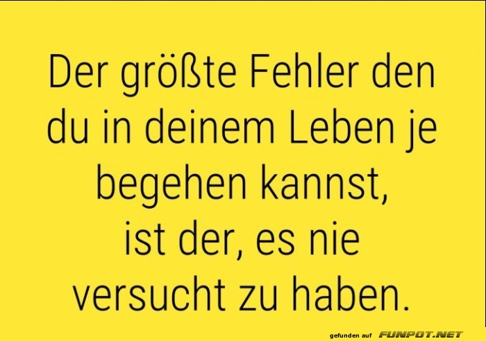 Der groesste Fehler