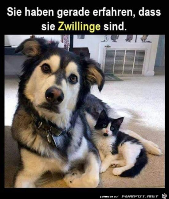 sie sind Zwillinge....