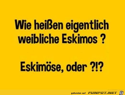 wie heissen eigentlich..... wie heissen eigentlich.....