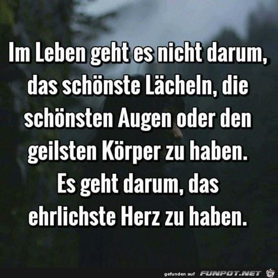 im Leben geht es nicht darum..... im Leben geht es nicht darum.....
