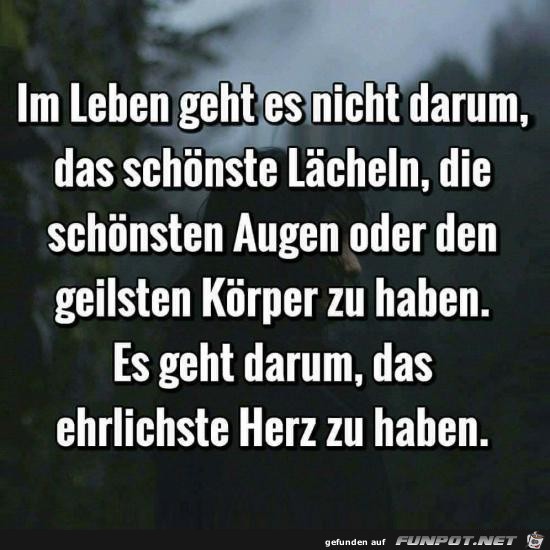 im Leben geht es nicht darum.....