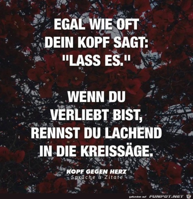 Egal wie oft