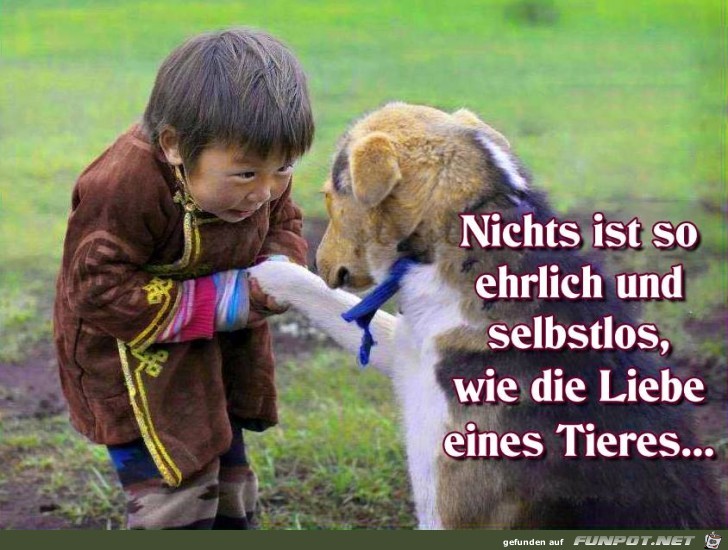 Nichts ist so ehrlich Nichts ist so ehrlich