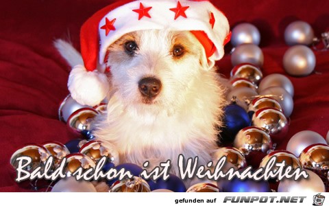 bald-ist-weihnachten.... bald-ist-weihnachten....