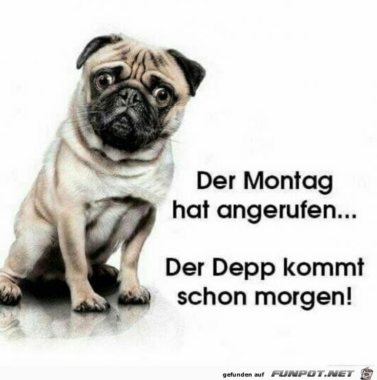 Der Montag