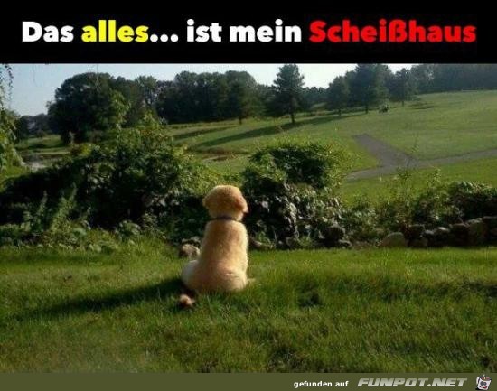 das alles ist mein..... das alles ist mein.....