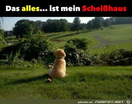 das alles ist mein.....