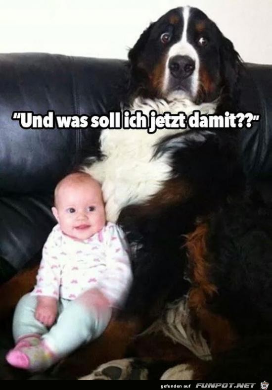 und was soll ich jetzt damit?.... und was soll ich jetzt damit?....