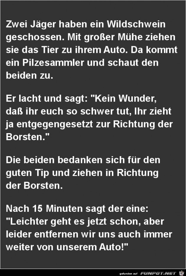 zwei Jger haben ein Wildschwein geschossen.....