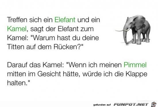 treffen sich ein Elefant und...... treffen sich ein Elefant und......