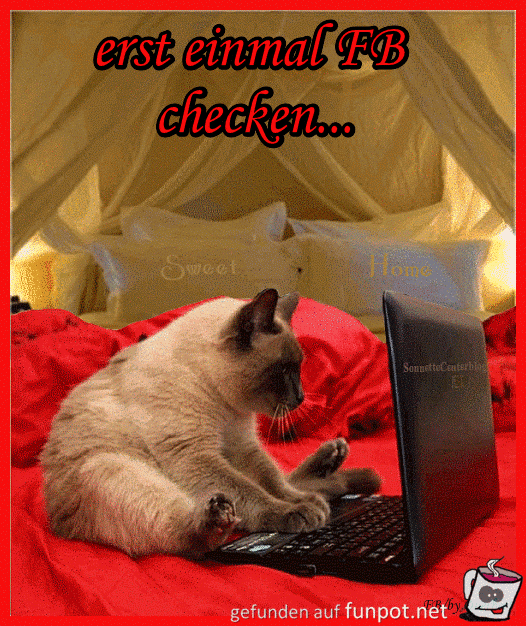Erst einmal FB checken Erst einmal FB checken