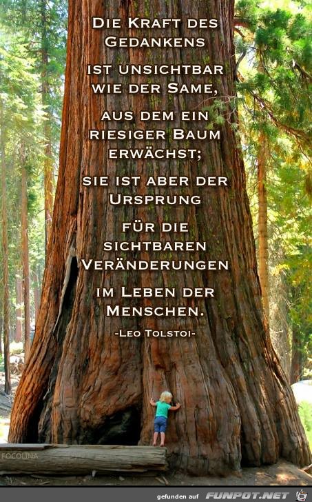 Die Kraftdes Gedanken Die Kraftdes Gedanken