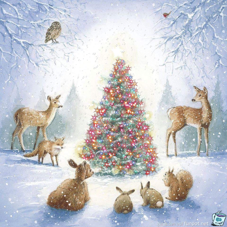 Wo es ueberall weihnachtet Wo es ueberall weihnachtet