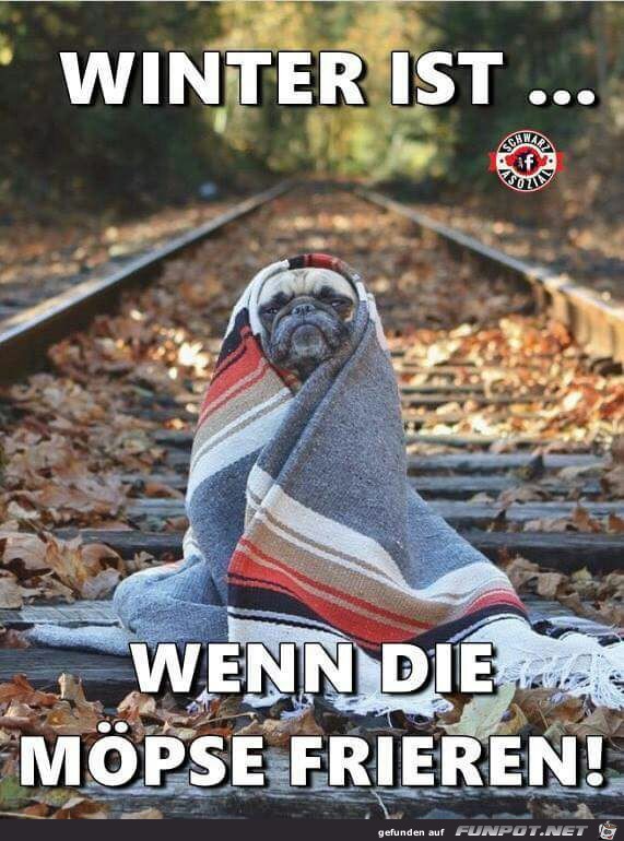 Winter ist...