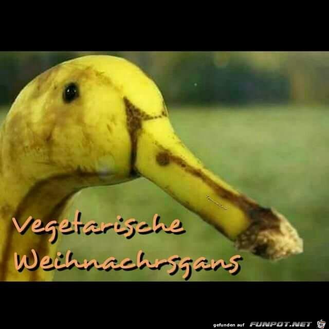 Cool gemacht Cool gemacht