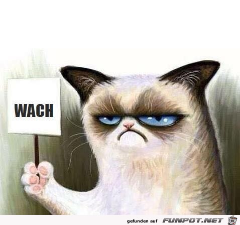 Bin wach Bin wach