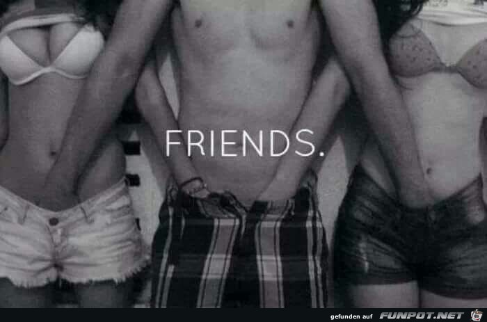 Freunde Freunde