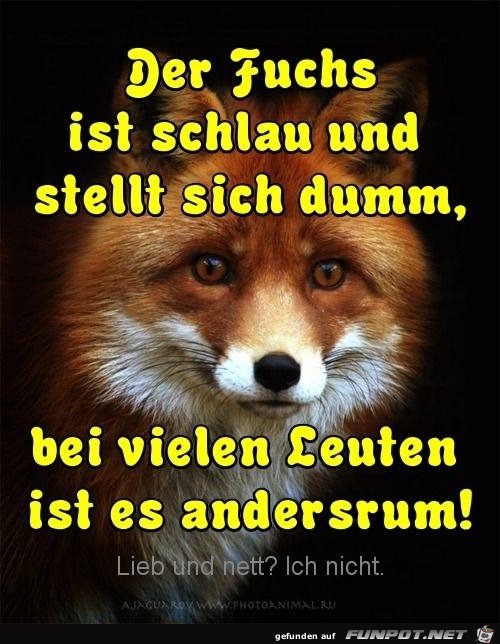 andersrum andersrum