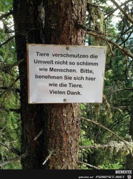 bitte benehmen sis sich...... bitte benehmen sis sich......