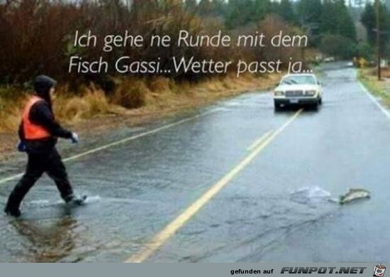 ich gehe mit dem Fisch ne Runde.....