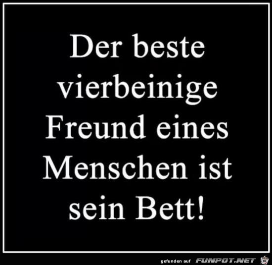 bester Freund.....