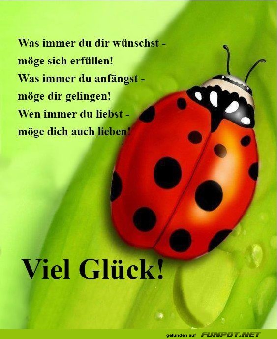 10 sch�ne Spr�che und Lebensweisheiten aus...