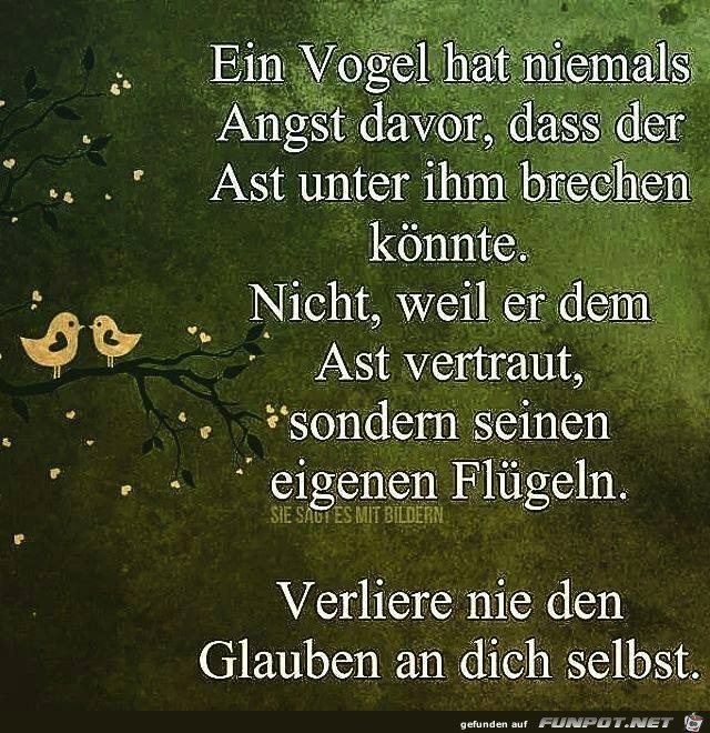 Verliere nie den Glauben Verliere nie den Glauben