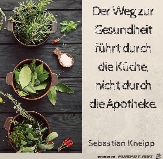 Der Weg zur Gesundheit Der Weg zur Gesundheit
