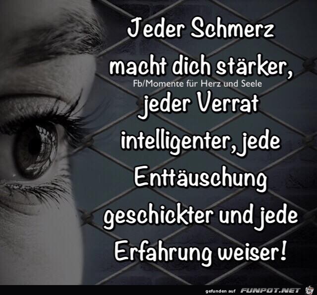 Jeder Schmerz Jeder Schmerz