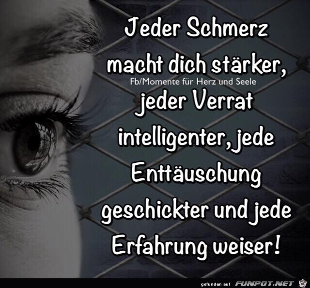 Jeder Schmerz