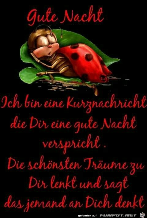 Gute Nacht Gute Nacht