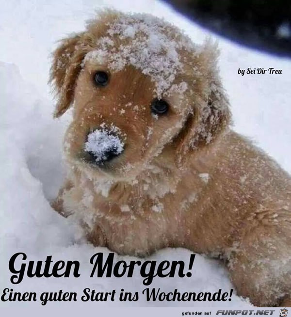 guten Morgen.....