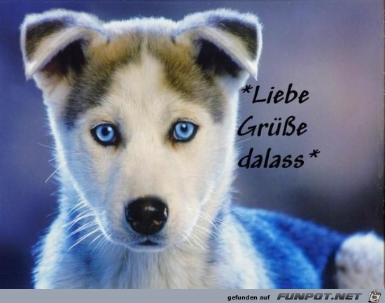 liebe Grsse.....