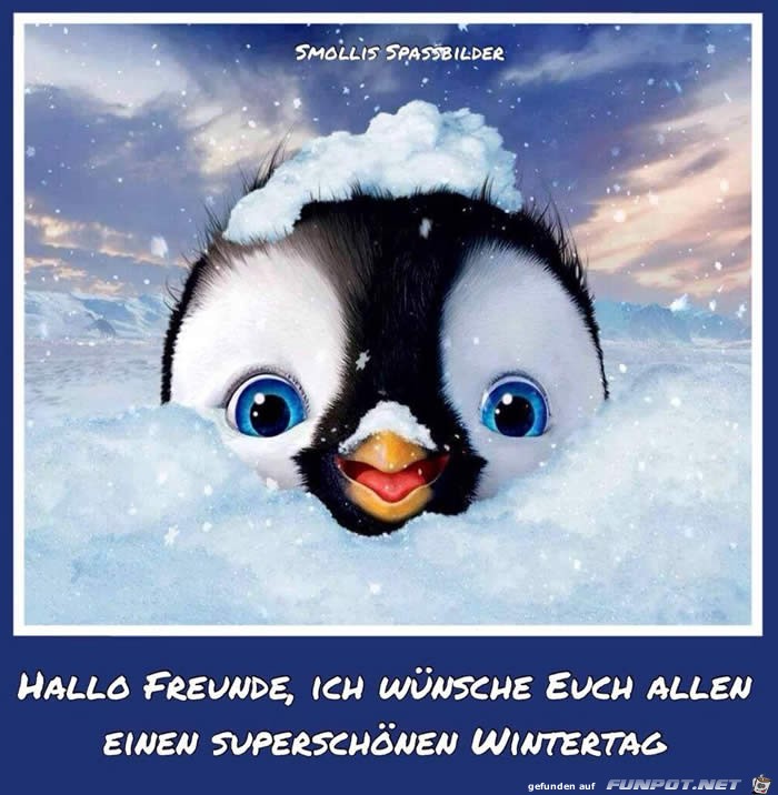 hallo Freunde.....