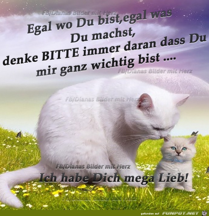 Egal wo du bist