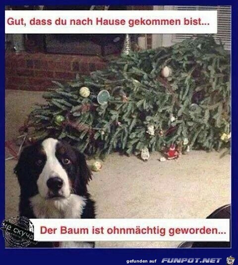 Ohnmächtig Ohnmächtig