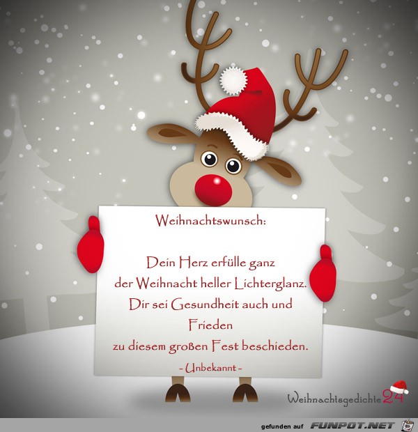 Weihnachtswunsch.....