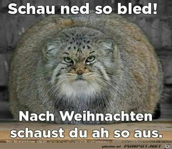 Schau ned so bled