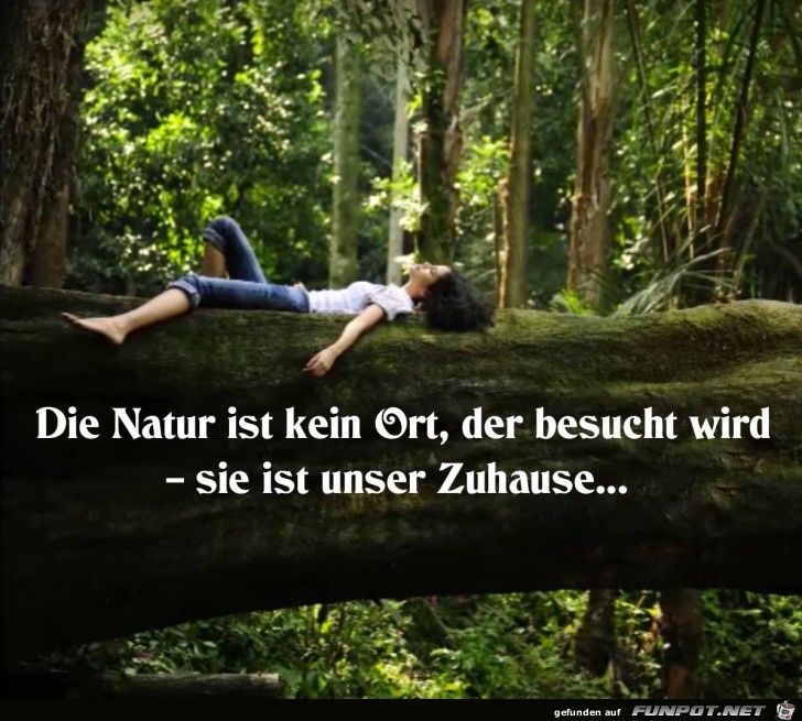 Die Natur ist kein Ort